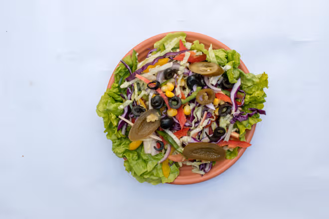 HelathyBites